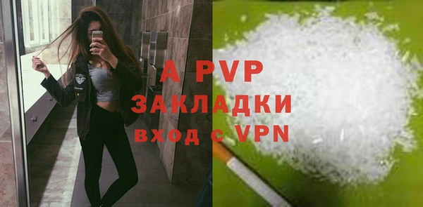 хмурый Карпинск