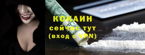 хмурый Карпинск