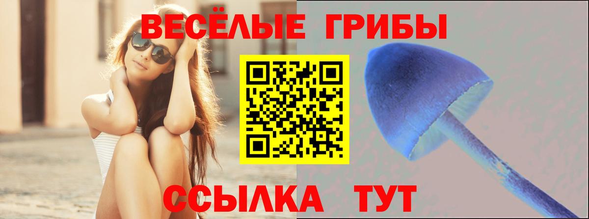 Сарапул  Псилоцибиновые грибы мухоморы  Вход с VPN 